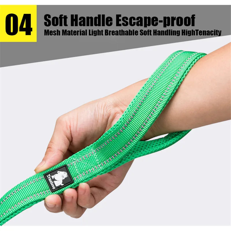 Green leash with 3M reflective stripe for visibility