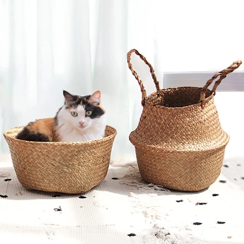 Pet cat resting inside eco seagrass woven basket