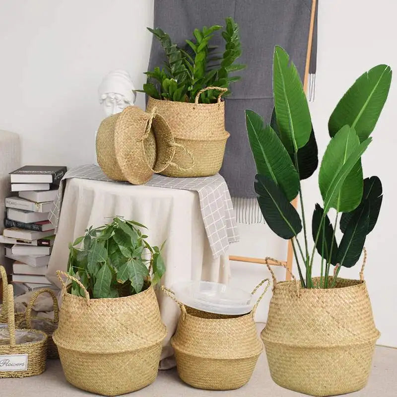 Seagrass basket styled with indoor plants