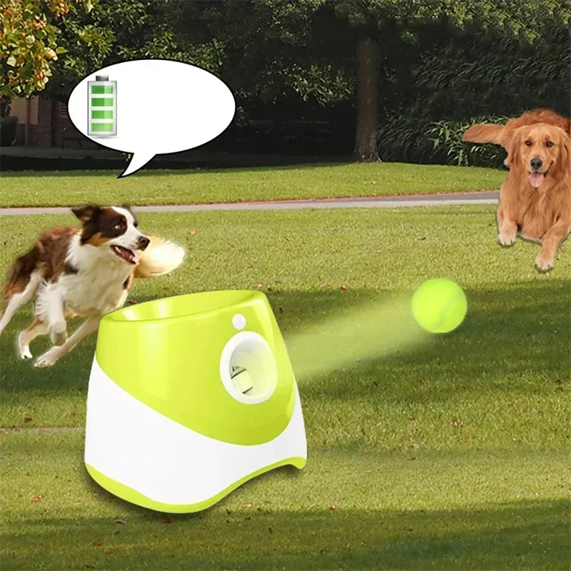 Dog chasing tennis ball from automatic launcher