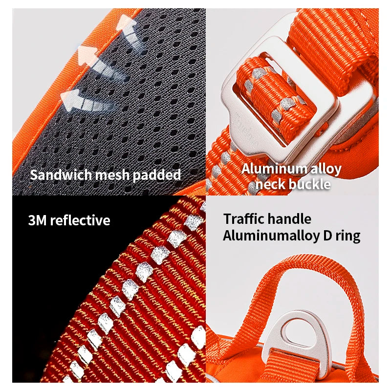Close-up of harness stitching and metal buckle – safety and strength features