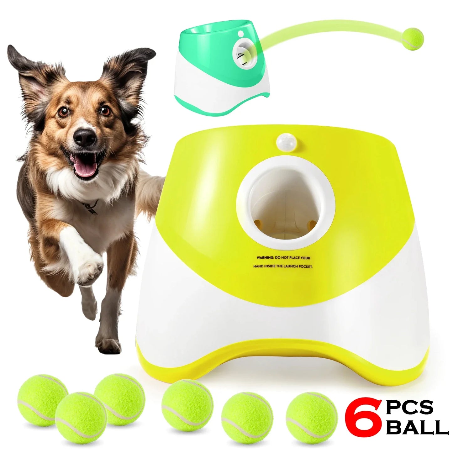 Dog chasing tennis ball from automatic launcher
