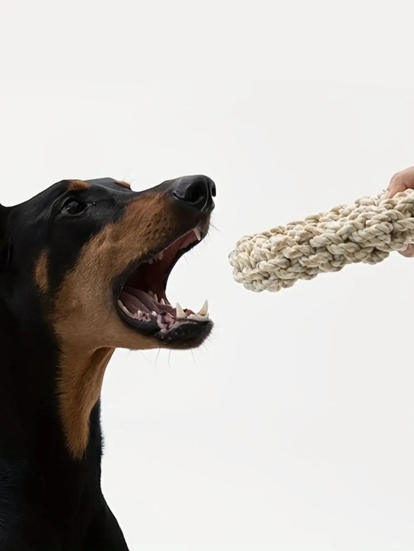 Eco-friendly rope chew toy for dogs