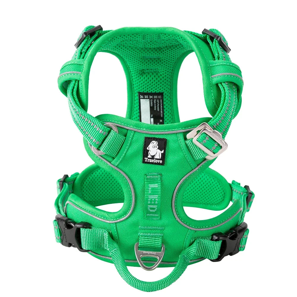 truelove green dog leash with reflective stitching