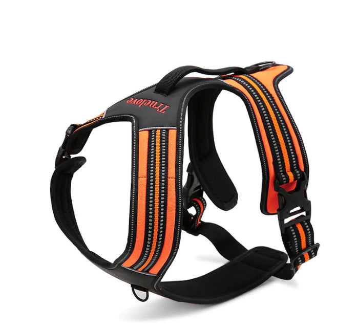 Adjustable dog harness made of recycled fabric on wood floor

