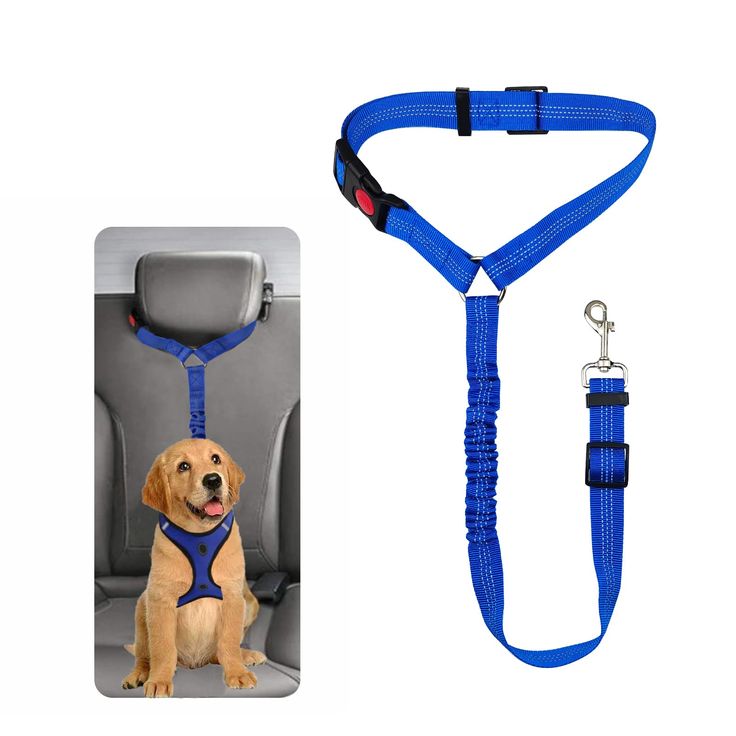 Blue nylon adjustable dog car seat belt leash with quick-release buckle