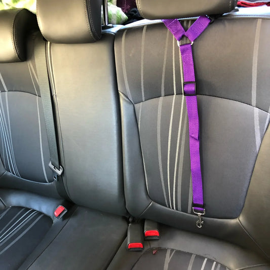 Pet car safety strap with adjustable nylon harness

