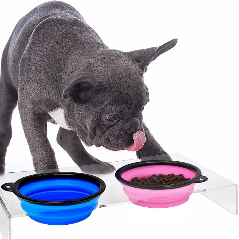Pet drinking and feeding bowl with size guide