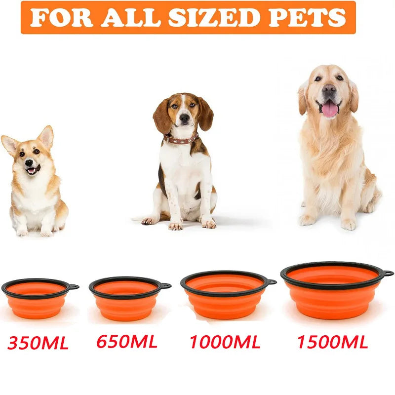 Pet drinking and feeding bowl with size guide