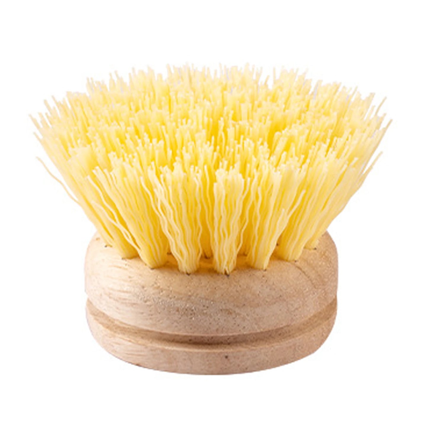 Eco dish brushes with wooden handle
