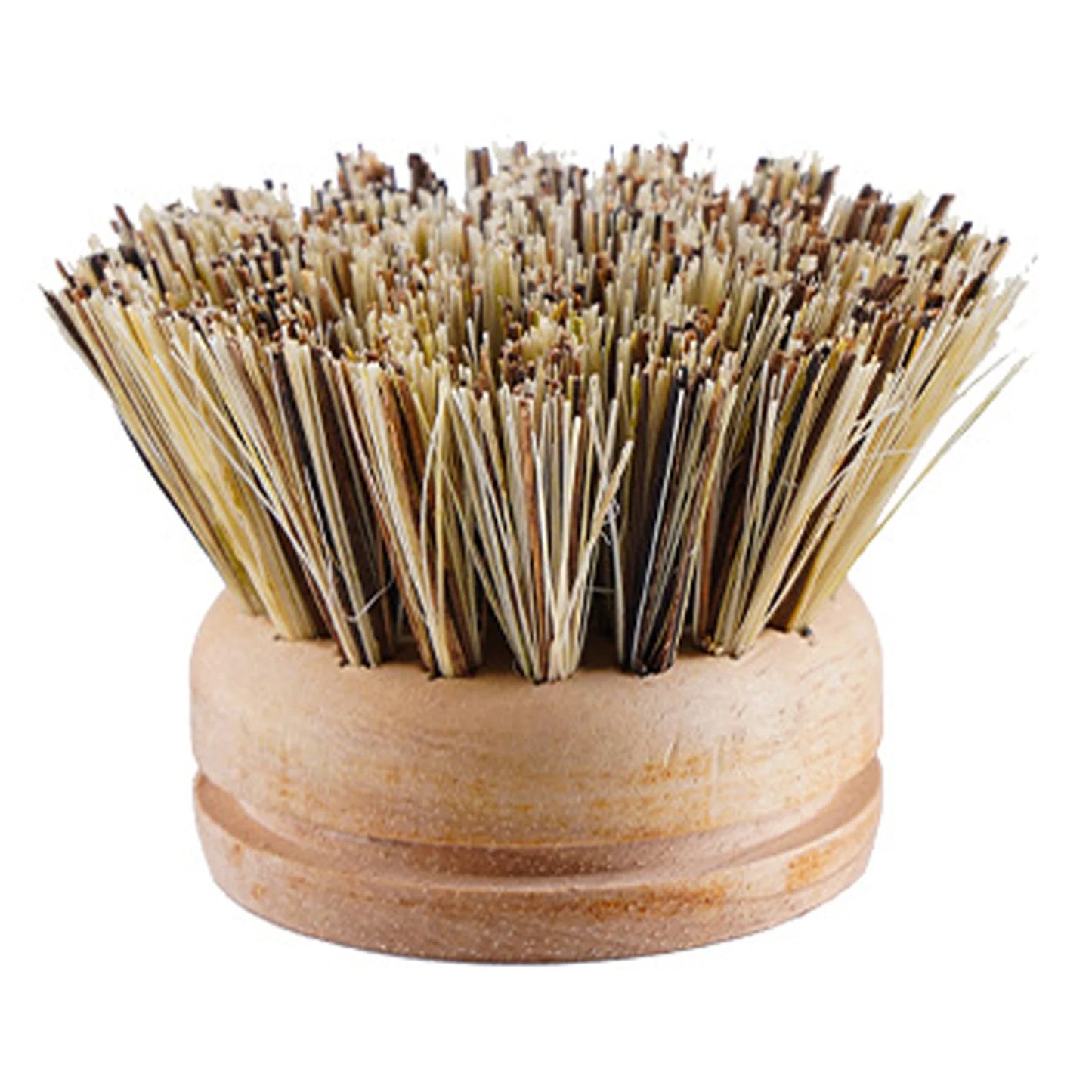 Eco dish brushes with wooden handle