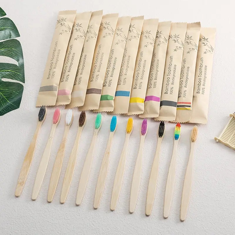 Colorful biodegradable bamboo toothbrush set with recycled box – EcoHome & Paws

